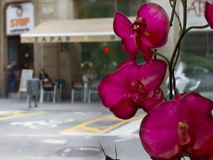Hotel Sansi Barcellona 4*,  Spagna